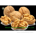 Wholesale Chinese Walnut Kernels Light Pieces(LP)